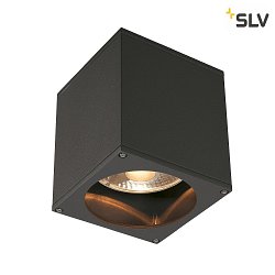 Wall luminaire BIG THEO CEILING OUT, ES111, max. 75W, anthracite