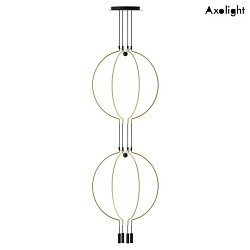 Luci a sospesione SP LIAISON M 4 4-Lampadine, 2 elemento IP20, oro opaco, nero dimmerabile