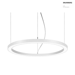 Luminaire  suspension BIRO CIRCLE commutable LED IP20, blanche gradable
