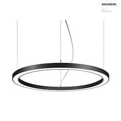Luminaire  suspension BIRO CIRCLE commutable LED IP20, noir  gradable