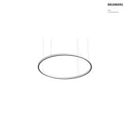 LED Pendelleuchte DEVON, Ringform,  120cm, CRi >90, UGR <19, Casambi dimmbar, 54W 3000K, strukturwei