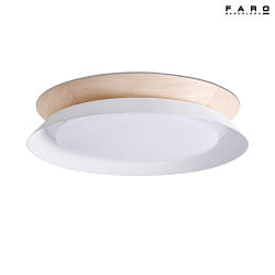 wall and ceiling luminaire TENDER LED IP20, white matt 