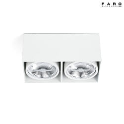 Luminaire de plafond TECTO  2 flammes G53 IP20, blanc mat 