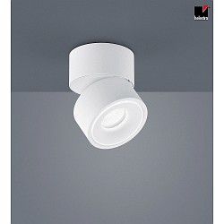 Plafoniera NAKA 1-Lampadina, regolabile IP20, bianco opaco dimmerabile