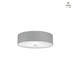 Luminaire de plafond ALEA 50 E27 IP20, gris clair, nickel mat, blanche gradable