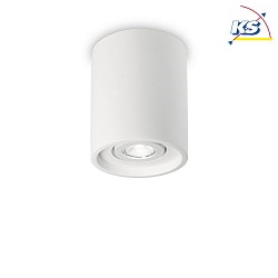 Luminaire de plafond OAK ROUND pivotant GU10 IP20, blanche,  peindre