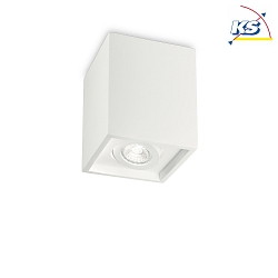 Luminaire de plafond OAK SQUARE pivotant GU10 IP20, blanche,  peindre