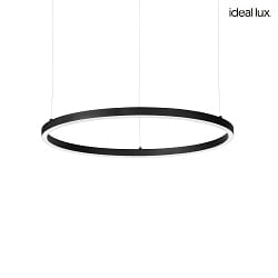 LED Pendelleuchte ORACLE SLIM SP  70 cm, rund, IP20, 39W, 3000K, 4150lm, DALI dimmbar, schwarz