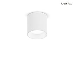 spot DOT PL LED LED IP20, white