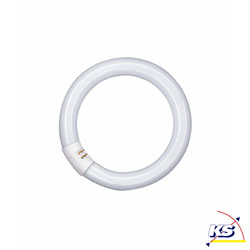 fluorescent lamp L, circular 26mm tube, 40W 865 C daylight