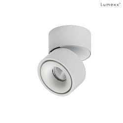 Spot EASY W100 LED DTW Dim-To-Warm IP20, blanche gradable