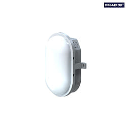 damp-proof luminaire ZELLA NEO oval, impact resistant, switchable, multipower IP54, grey 