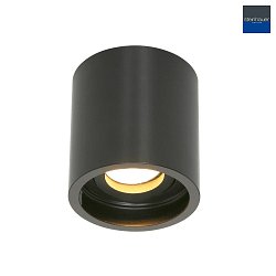 Downlight PLITE SPOT cylindrique, rigide, version pour montage en surface GU10 IP20, noir mat gradable