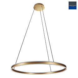 pendant luminaire RINGLUX up / down IP20, gold dimmable