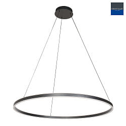 pendant luminaire RINGLUX up / down IP20, black dimmable