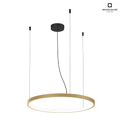 Luminaire  suspension KUJO 2.0 1 voie, forme de l'anneau IP20, champagne gradable