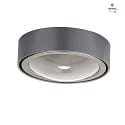 ceiling luminaire TIZIAN L down, flat, round GX53 IP20, grey, platinum, steel dimmable