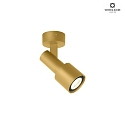 Wand-/Deckenleuchte SARA 1.0 PAR16, GU10 max. 12W, schwenkbar 90, gold