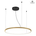 pendant luminaire KUJO 3.0 1-fold, ring shape IP20, champagner dimmable