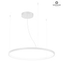 pendant luminaire KUJO 3.0 1-fold, ring shape IP20, white matt dimmable