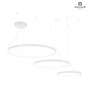 pendant luminaire KUJO 3.2.1 3-fold, ring shape IP20, white matt dimmable